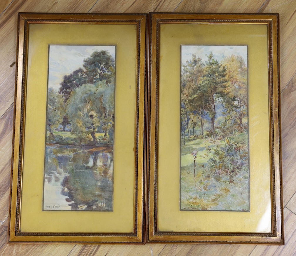 Innes Fripp (1867-1963), pair of watercolours, Woodland scenes, signed, 38 x 15cm